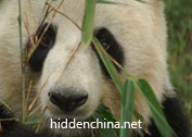 Hidden China Enduro Tour