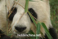 Hidden China 4x4, 4WD Tour