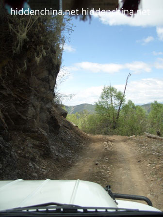 4WD in China