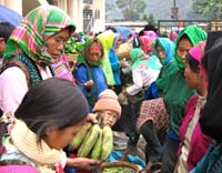 Mong (H'Mong) people, Mong Do, White Mong, Mong Lenh (Variety Mong), Mong Si (Red Mong), Mong Du (Black Mong) and Mong Sua (Man Mong) minority, Hmong ethnie, montagnard