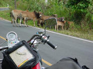 cruising the mae hong son loop